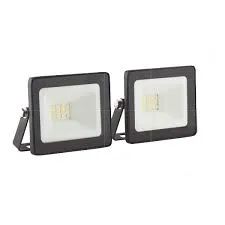 10W Led Floodlight 2 Pack