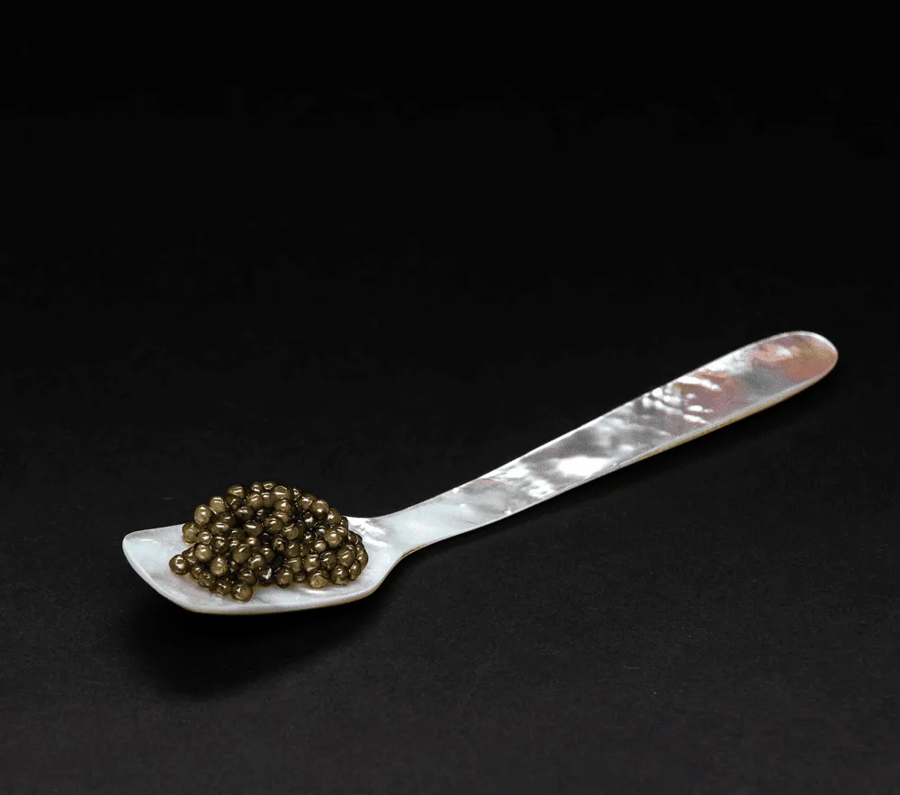 Barrier Reef Caviar Spoon