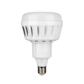 Bulb LED 160 Watts E40 (Big Screw)