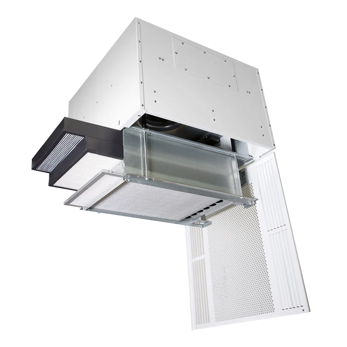 HealthyAir Ceiling-Mount Source Capture System - Dual Station