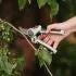 Kent & Stowe Ever Sharp All Purpose Lite Secateurs