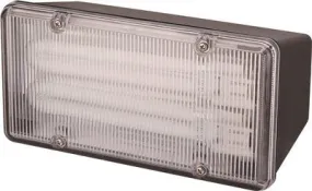 Monument Wall- Or Ceiling-Mounted Fluorescent Commercial Floodlight Black 2 13-Watt Pl Lamps (Included)