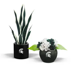 MSU Spartan Faux Snake Plant & Hydrangea