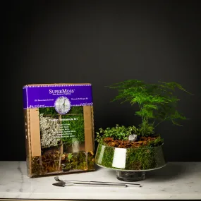 Terrarium Starter Kit